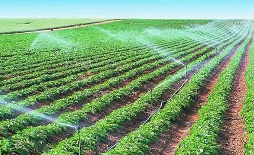 抽插舔小视频农田高 效节水灌溉